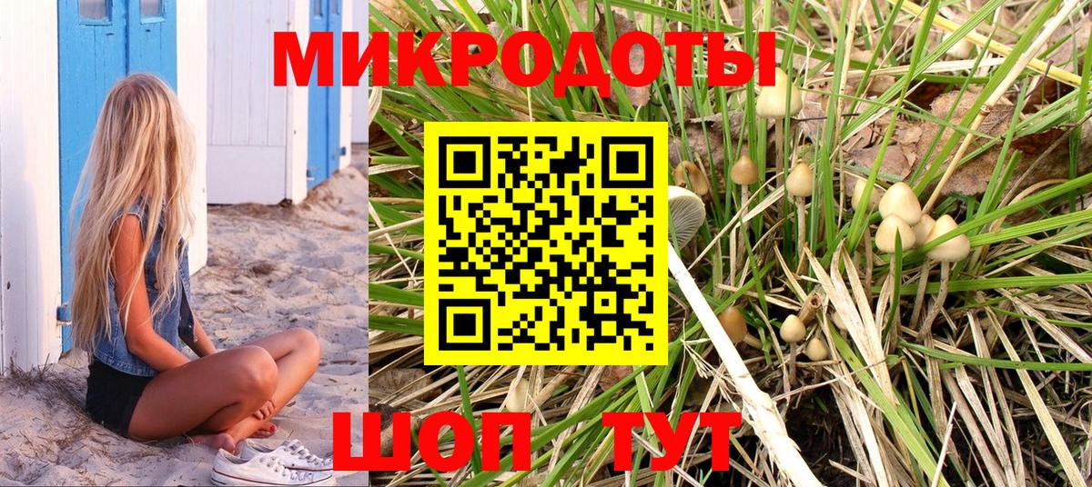 Галлюциногенные грибы мицелий  Псилоцибиновые грибы GOLDEN TEACHER  цена наркотик  Вход с VPN  Мичуринск 
