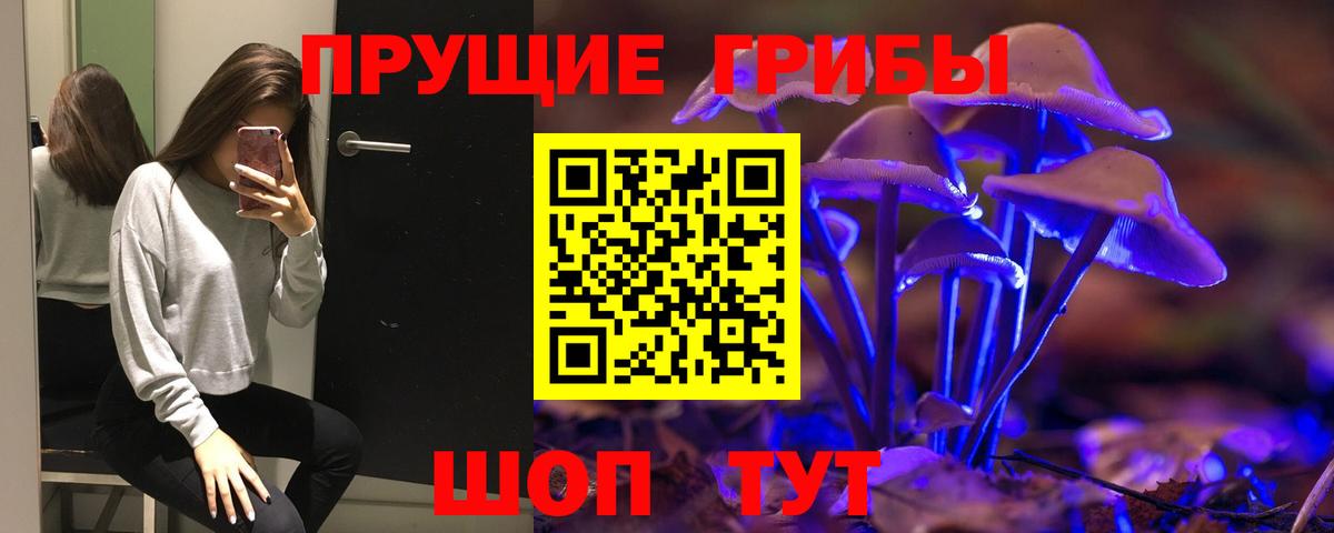 Галлюциногенные грибы мухоморы Мичуринск
